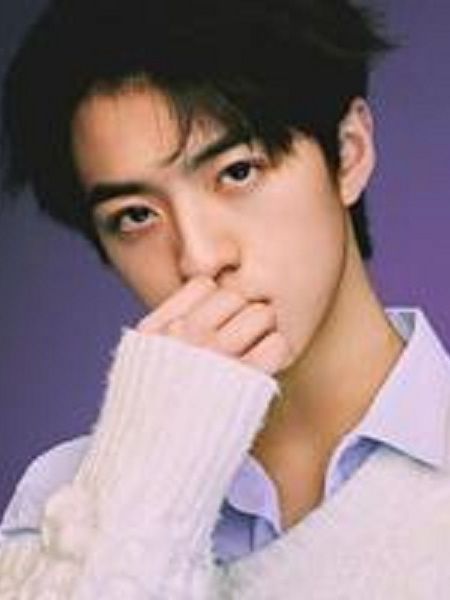 高高(男演員)