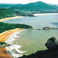大貓島 大貓島