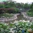 上海延中公園(延中公園) 上海延中公園(延中公園)