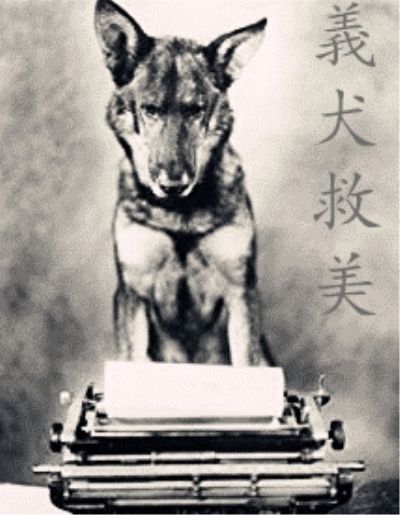 義犬救美 義犬救美