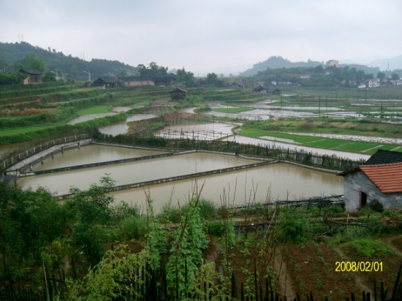 生態甲魚場