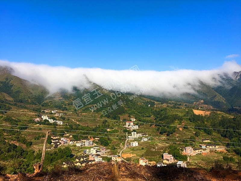 榕垌村 榕垌村