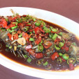 鐵排桂魚 鐵排桂魚