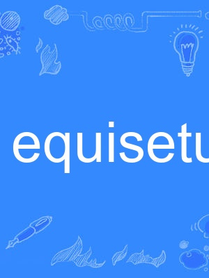 equisetum equisetum