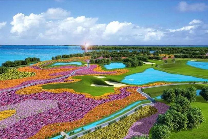 金灣花海 金灣花海