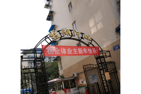 桂湖河畔 桂湖河畔