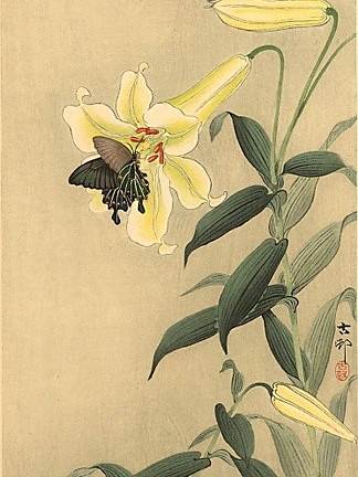 小原古邨