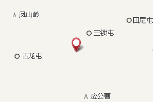 桐子排