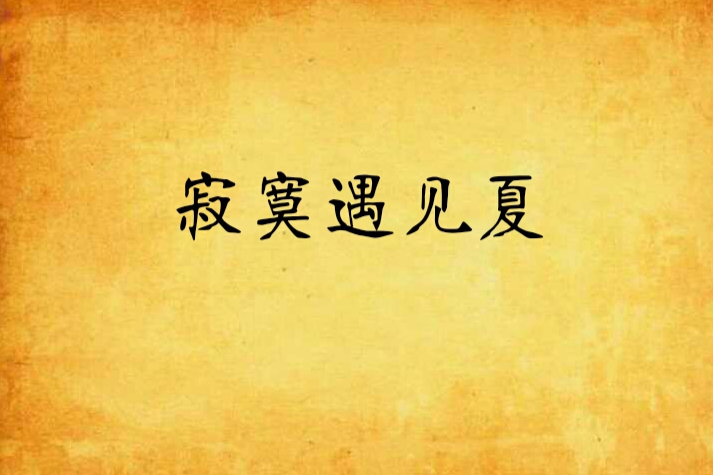 寂寞遇見夏