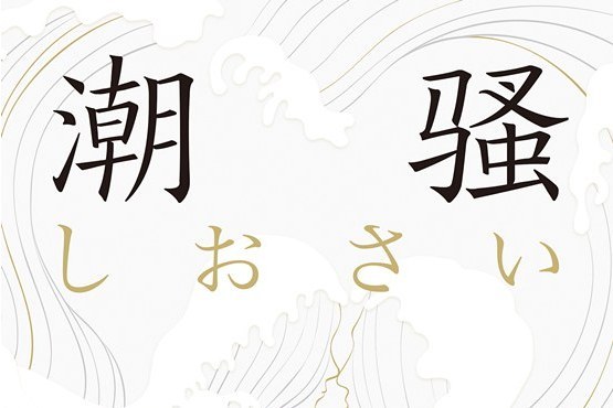 潮騷(2018年北京十月文藝出版社出版的圖書) 潮騷(2018年北京十月文藝出版社出版的圖書)