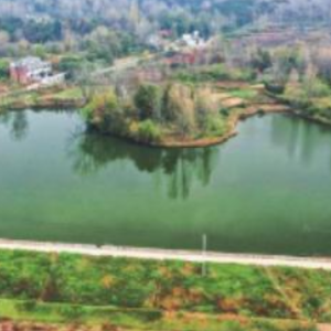 張窪水庫(淮河流域寨河支流上的小(2)型水庫)