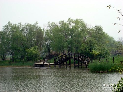 鄄城八景 鄄城八景