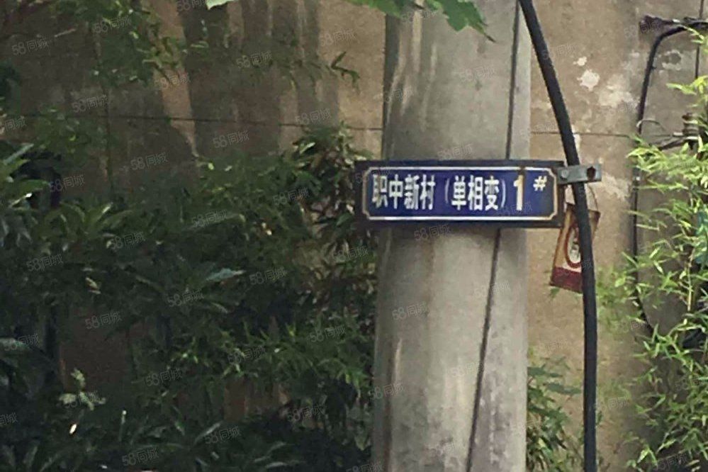 職中新村 職中新村