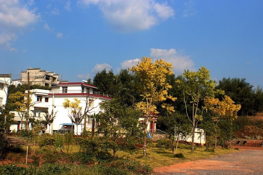 楓樹坑村 楓樹坑村