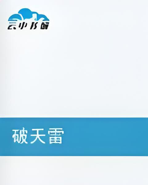 破天雷(小說) 破天雷(小說)