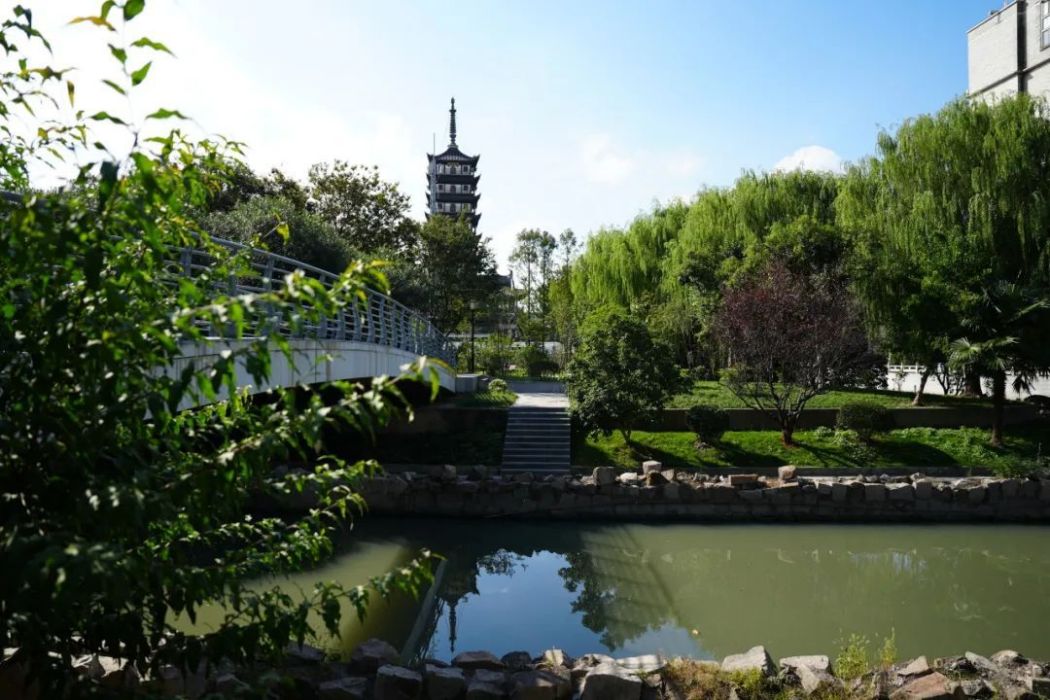 桃溪公園 桃溪公園