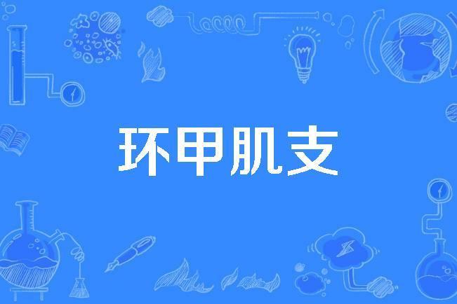 環甲肌支