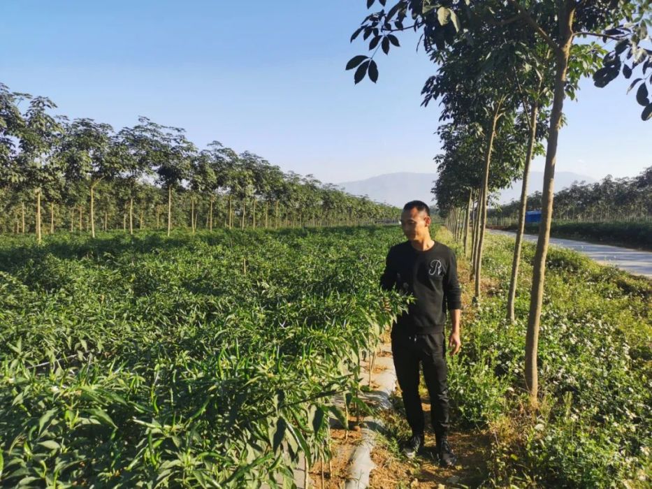 瑞麗農場 瑞麗農場