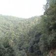 蛤蟆塘村(雲南省昆明市富民縣永定鎮下轄村) 蛤蟆塘村(雲南省昆明市富民縣永定鎮下轄村)