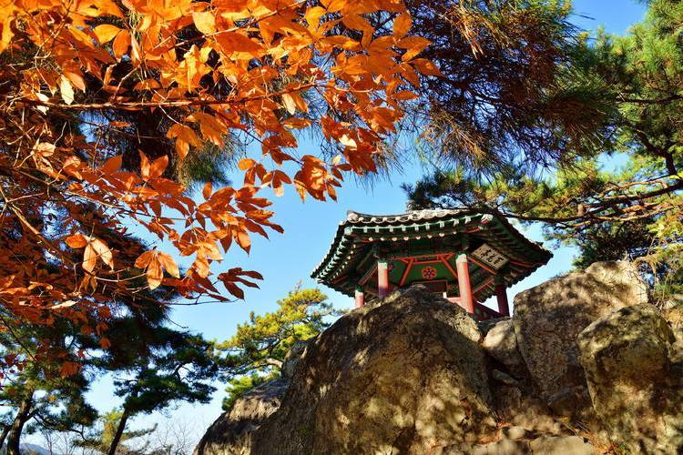 百濟遺址區 百濟遺址區