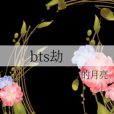 bts劫 bts劫