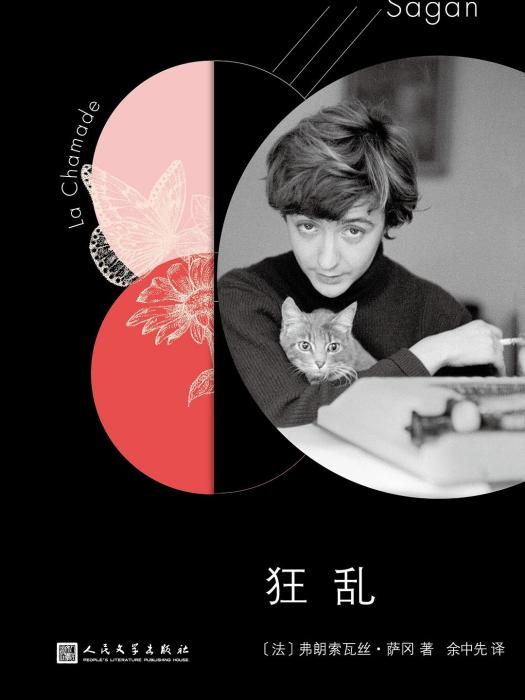 狂亂(2019年人民文學出版社出版的圖書) 狂亂(2019年人民文學出版社出版的圖書)
