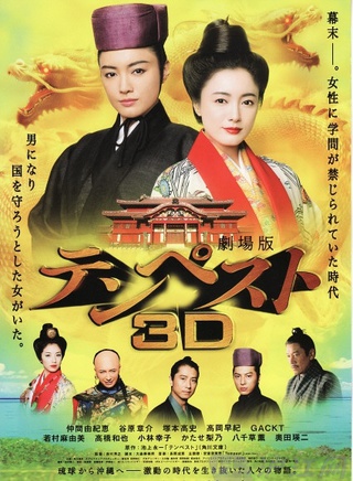 仲間由紀惠 仲間由紀惠