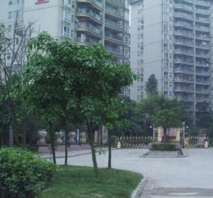 藍岸麗景 藍岸麗景