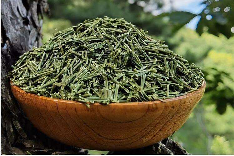 小松毛茶