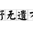 野無遺才 野無遺才