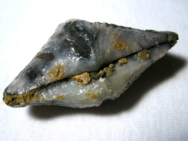 石燕(石燕化石)