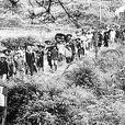 抵壘政策 抵壘政策