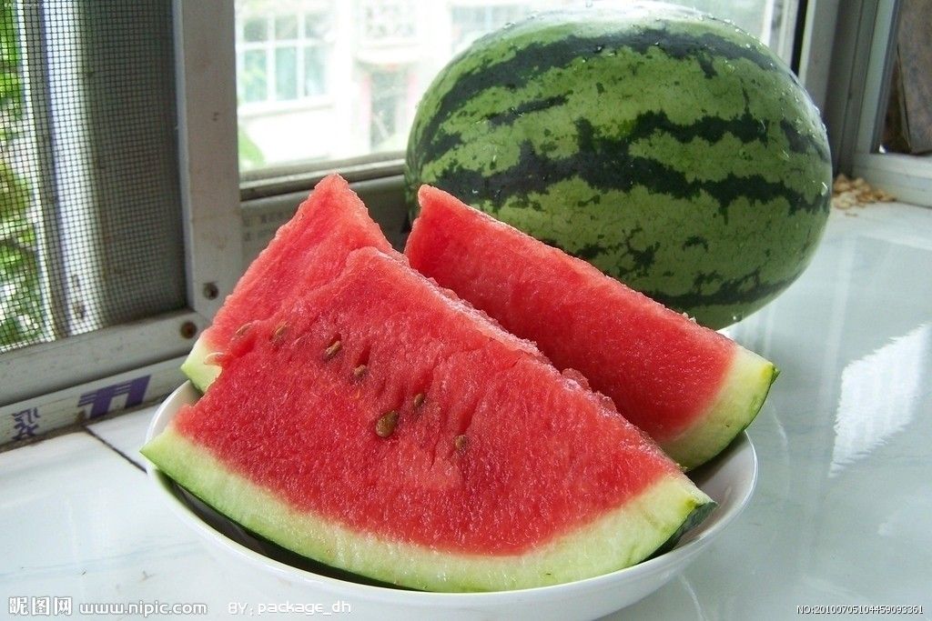 農科大9號 農科大9號