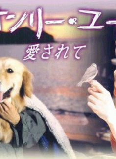 小泉今日子