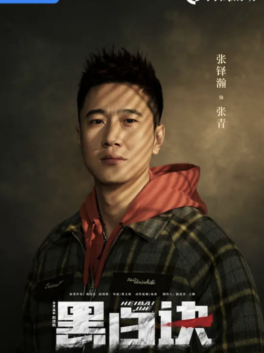 張青(電視劇《黑白訣》中的角色)
