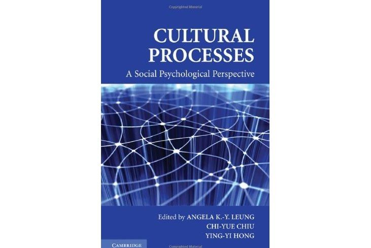 Cultural Processes Cultural Processes