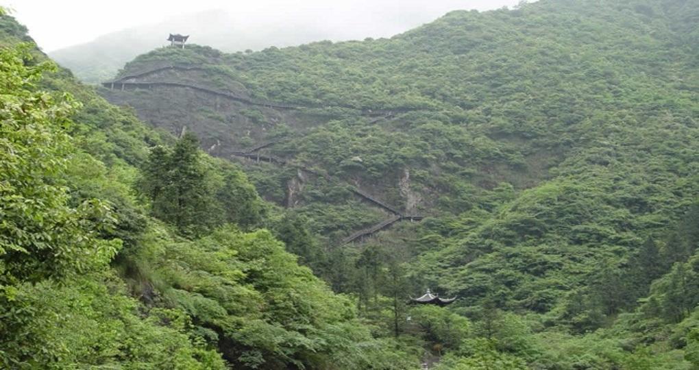 寧夏南華山國家級自然保護區