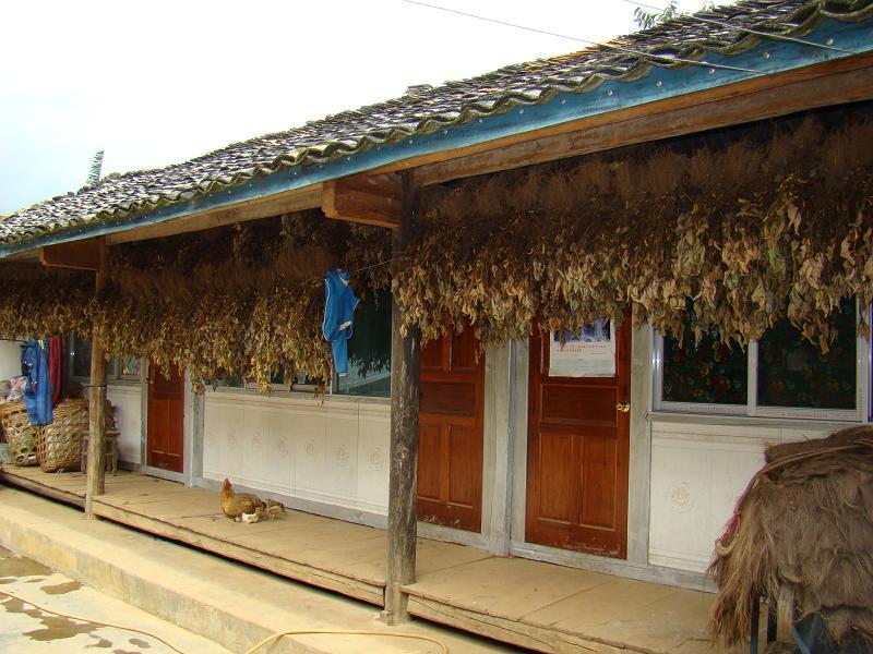 張向寨村