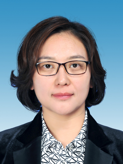 王敏(山東省濟南市萊蕪區羊里街道黨工委書記)