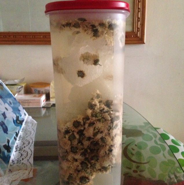 菊花醋 菊花醋