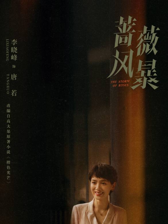 薔薇風暴(2024年惠楷棟執導的職場劇)