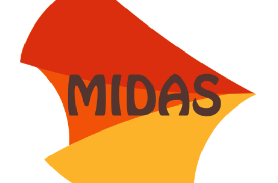 邁達斯(MIDAS)(獨資公司)