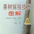 嫁接技術 嫁接技術