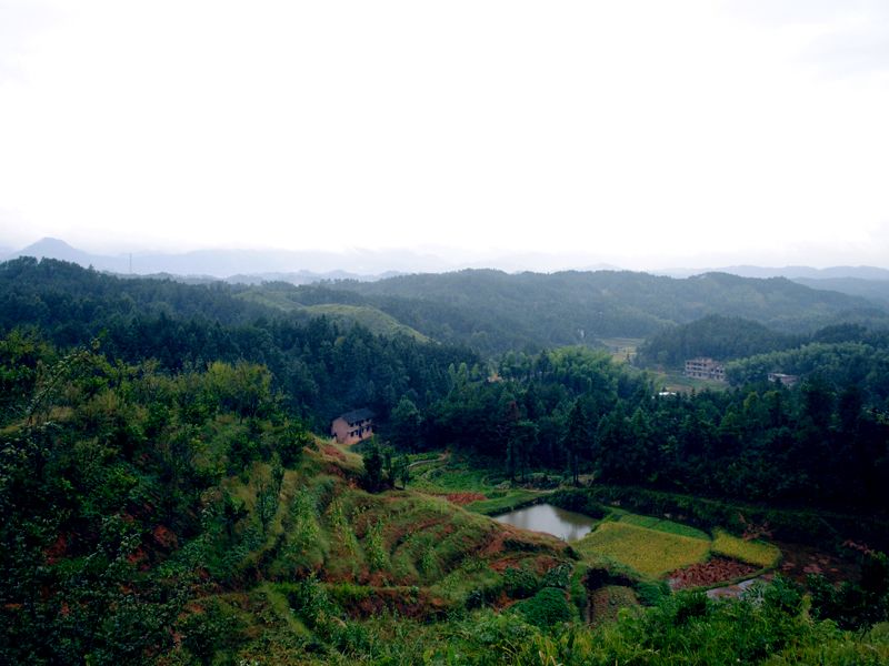 群山萬壑 群山萬壑