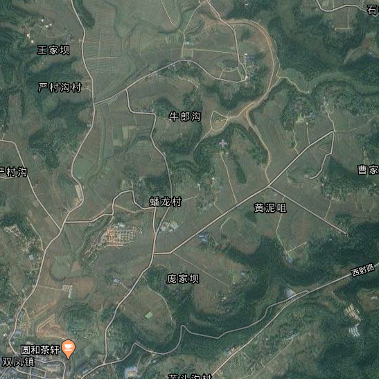 蟠龍村(四川省西充縣雙鳳鎮下轄行政村) 蟠龍村(四川省西充縣雙鳳鎮下轄行政村)