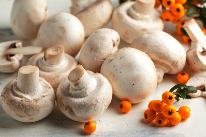 那些年對吃蘑菇情有獨鐘的國家都有哪些？
