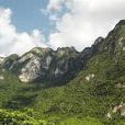 九龍山(湖北省麻城市九龍山) 九龍山(湖北省麻城市九龍山)