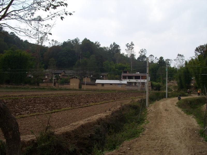 岔沖村(雲南省大姚縣新街鄉夏家壩岔沖村) 岔沖村(雲南省大姚縣新街鄉夏家壩岔沖村)
