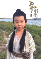 孤芳不自賞(2016年鐘漢良、楊穎主演電視劇)