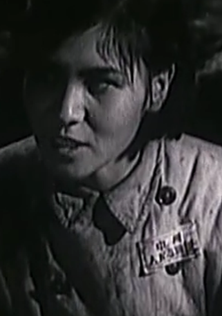 上甘嶺(1956年沙蒙、林杉執導的電影)